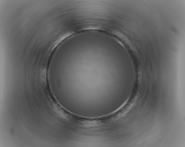 X0000113231121200909101205