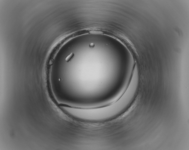 X0000113231122200909101205