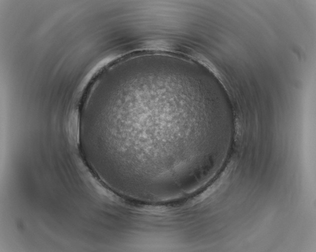 X0000113231123200909101205