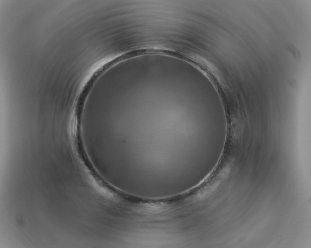 X0000113231125200909101205