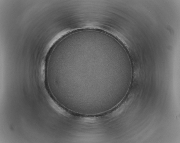 X0000113231126200909101205