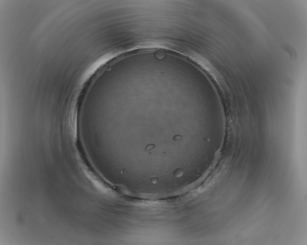 X0000113231127200909101205