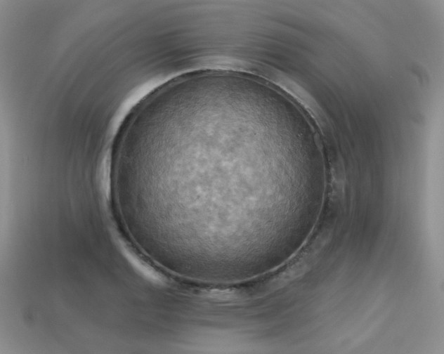 X0000113231128200909101205