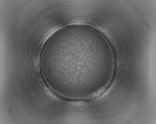 X0000113231129200909101205