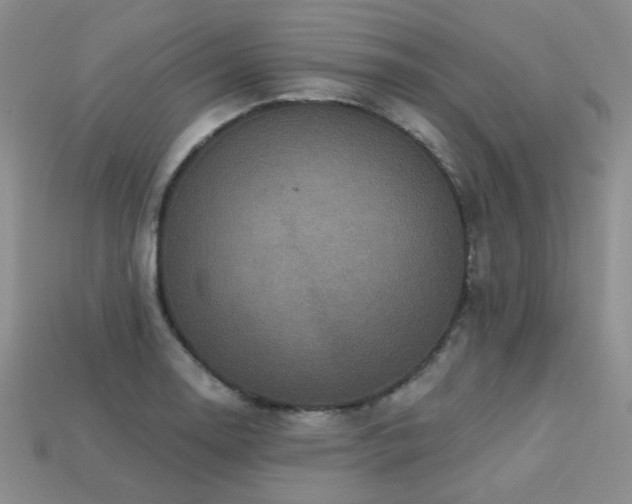 X0000113231130200909101205