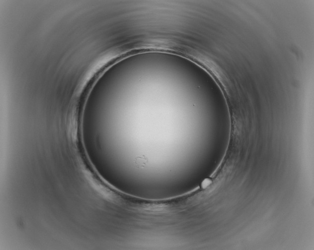 X0000113231131200909101205