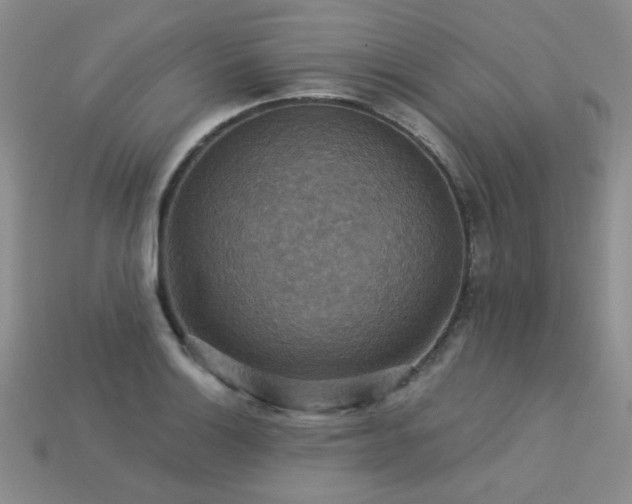 X0000113231132200909101205