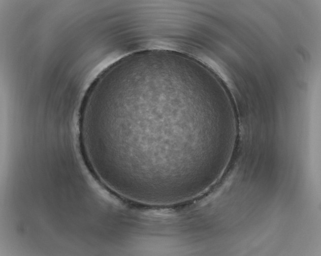 X0000113231133200909101206