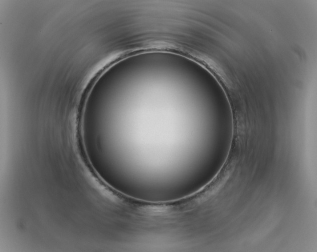 X0000113231134200909101206