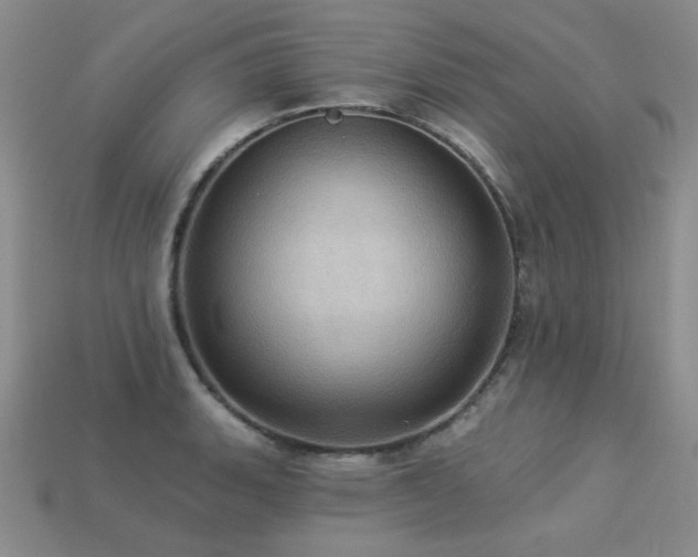 X0000113231135200909101206