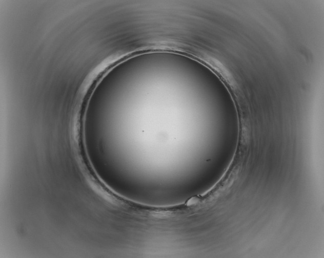 X0000113231136200909101206