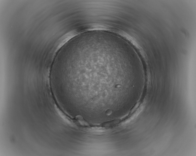 X0000113231137200909101206