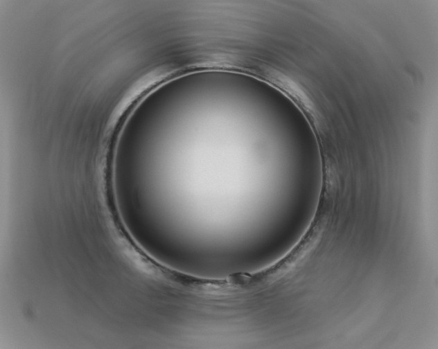 X0000113231138200909101206