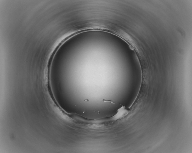 X0000113231140200909101206