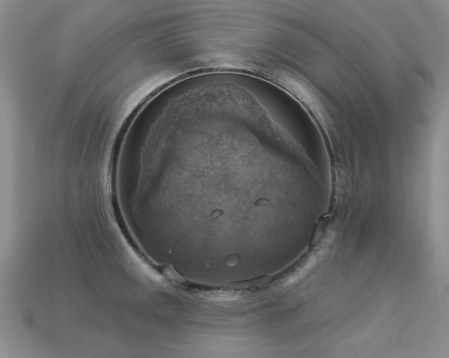 X0000113231141200909101206