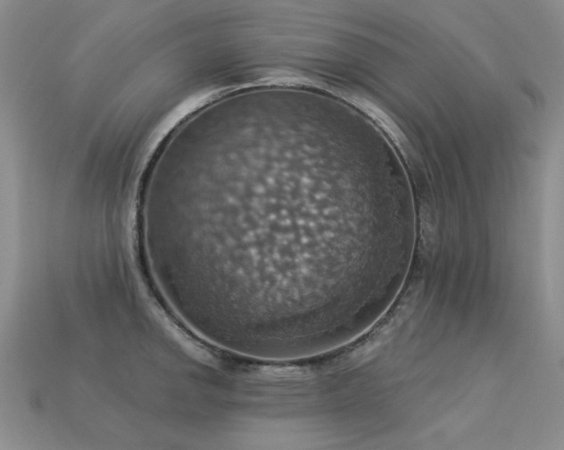 X0000113231142200909101206