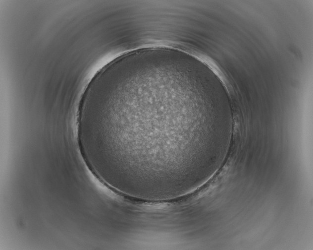 X0000113231143200909101206