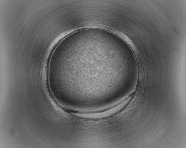 X0000113231144200909101206
