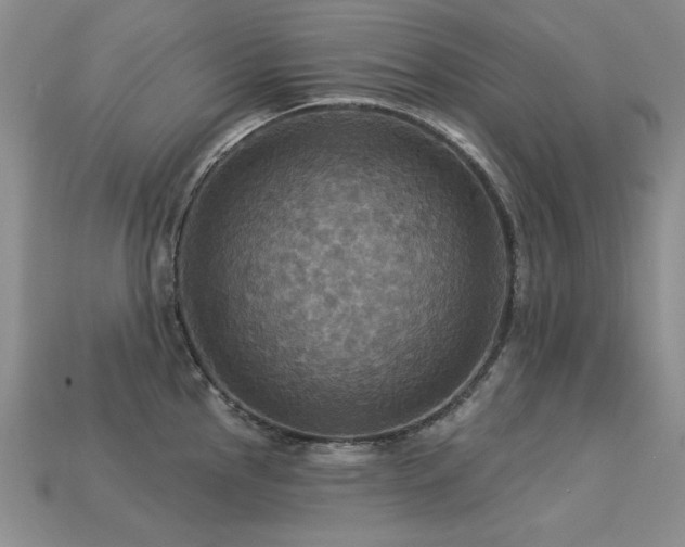 X0000113231145200909101206