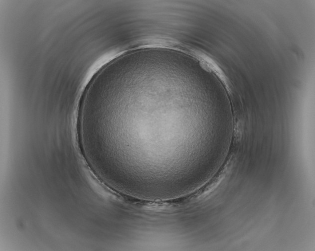 X0000113231146200909101206