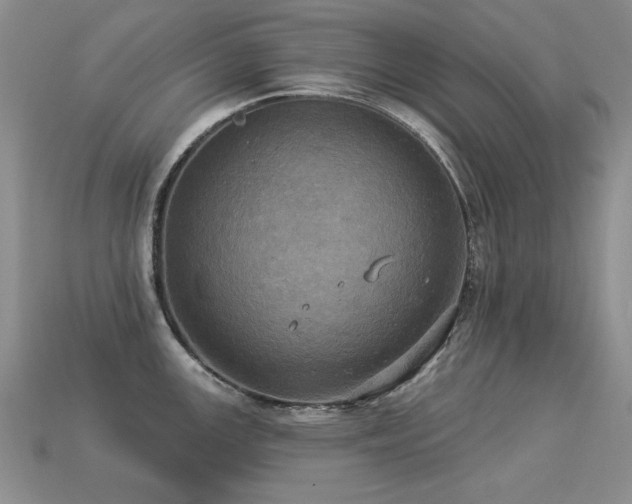 X0000113231147200909101206