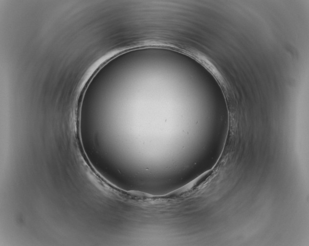 X0000113231148200909101206