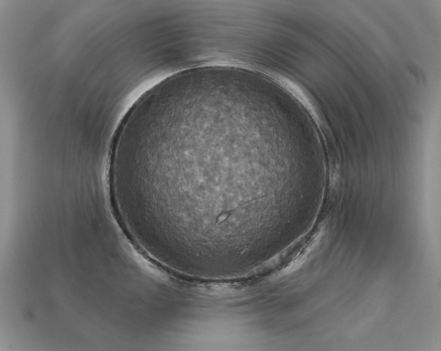 X0000113231149200909101206
