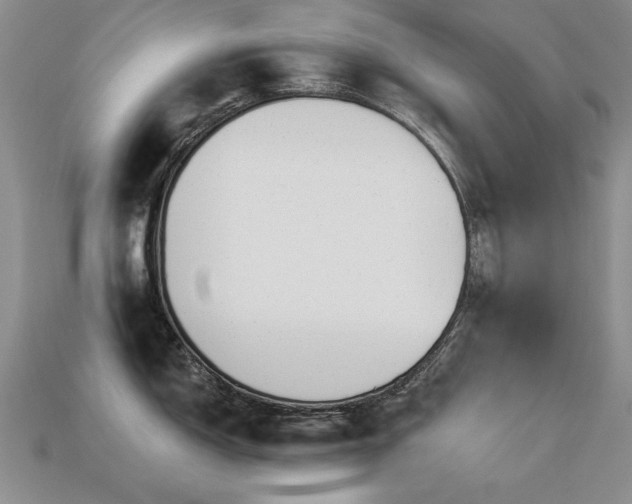 X0000113231150200909101206