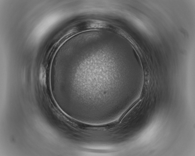 X0000113231151200909101206
