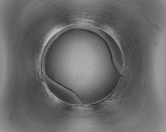 X0000113231152200909101206