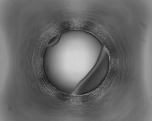 X0000113231153200909101205