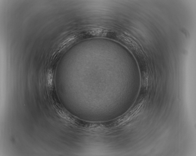 X0000113231154200909101205