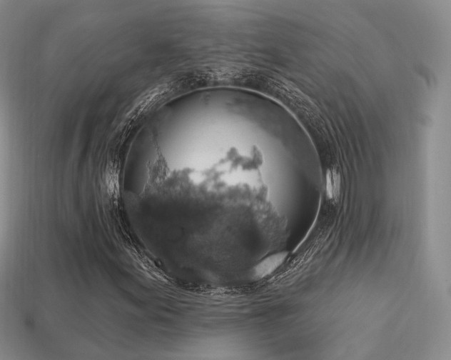 X0000113231155200909101205