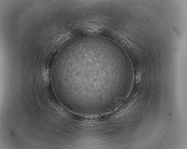 X0000113231156200909101205