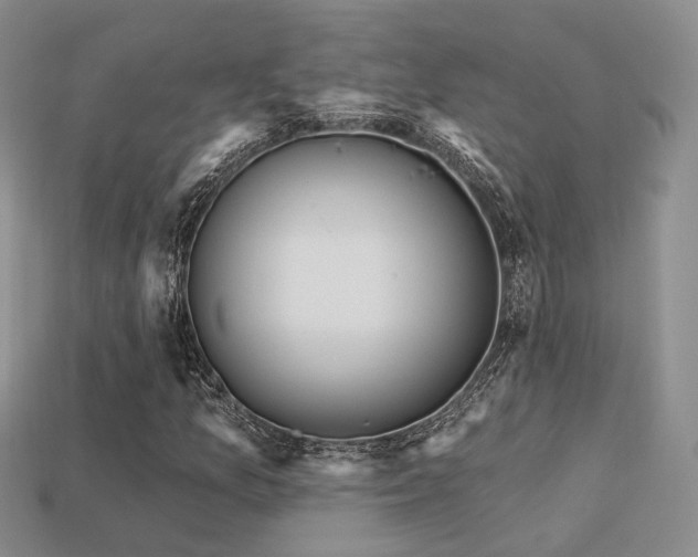 X0000113231157200909101205