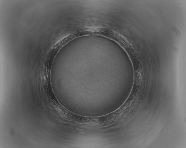X0000113231158200909101205