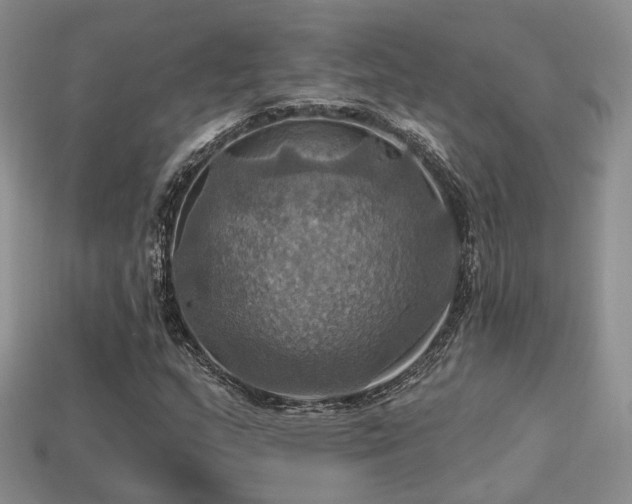 X0000113231159200909101205