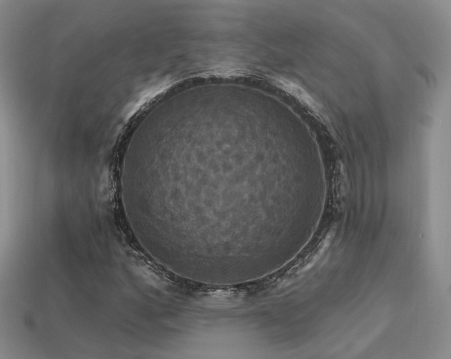 X0000113231160200909101205