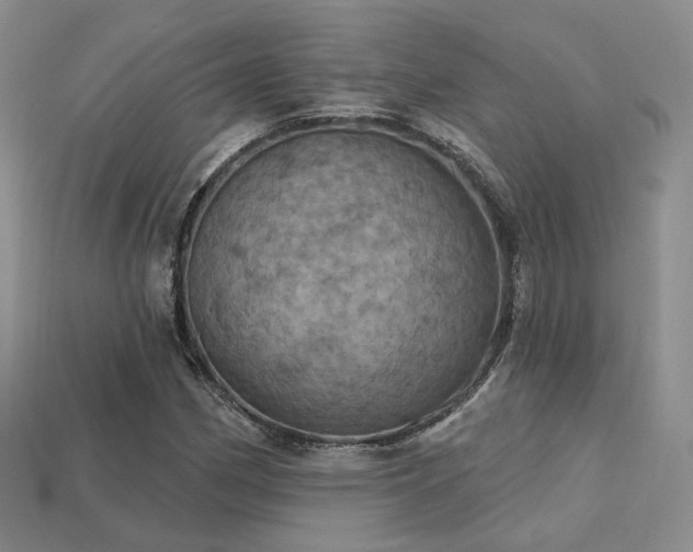 X0000113231162200909101205