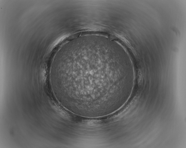 X0000113231163200909101205