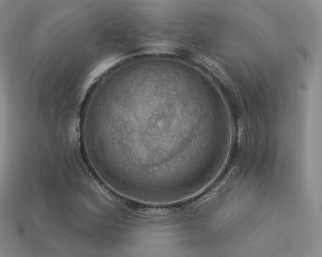 X0000113231164200909101205