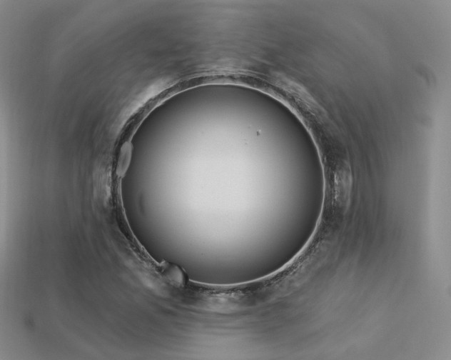X0000113231165200909101205