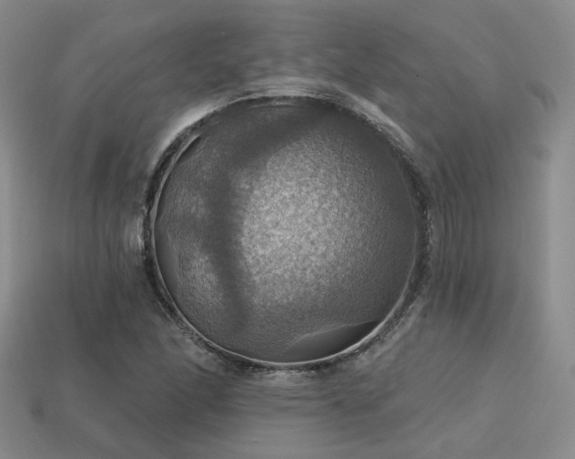 X0000113231166200909101205