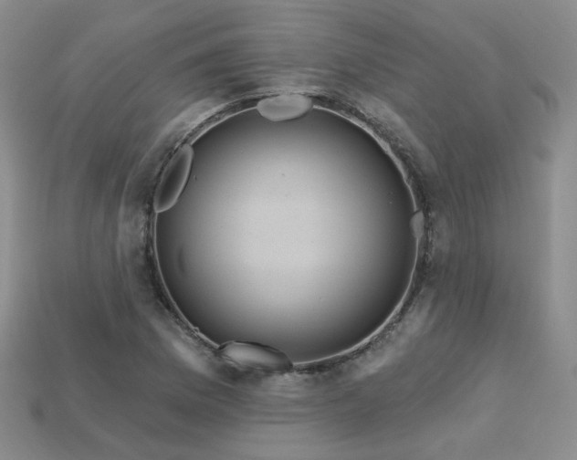 X0000113231169200909101205