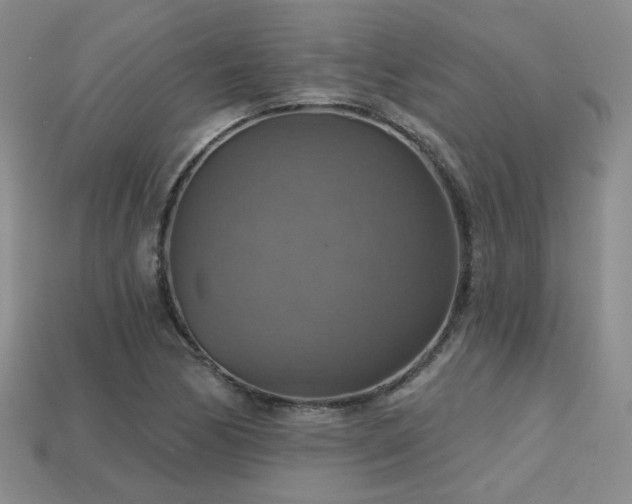 X0000113231170200909101205