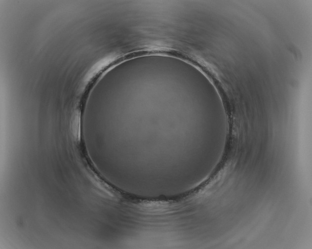 X0000113231171200909101205
