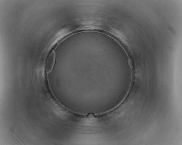 X0000113231173200909101205