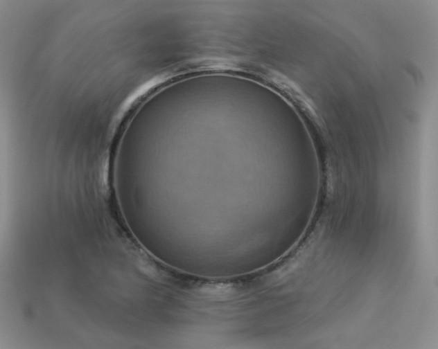 X0000113231174200909101205