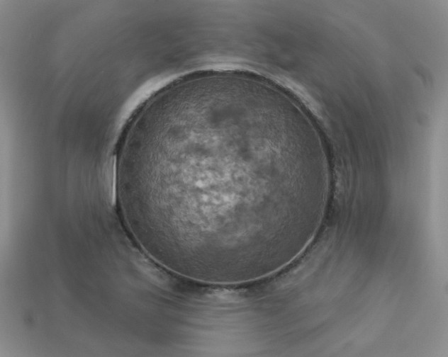 X0000113231175200909101205