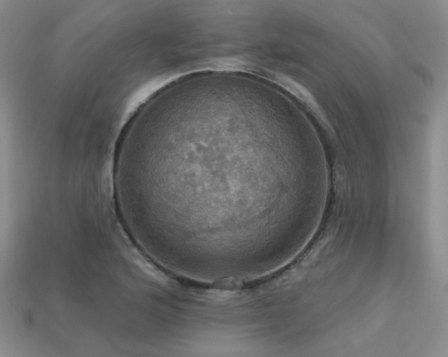 X0000113231176200909101205
